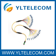 MPO Fan out Fiber Optic Patch Cord 4 cores , 8 cores , 12 cores Singlemode